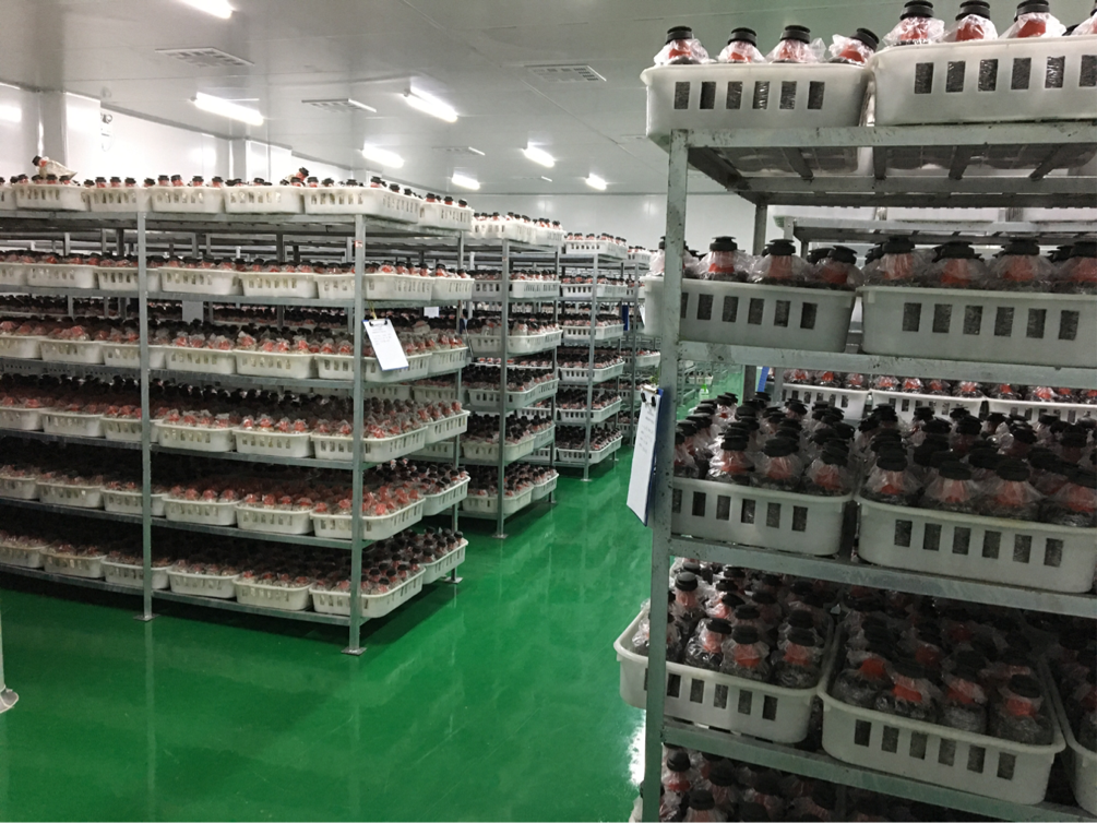 6163银河官方网站(中国)线路检测中心入口